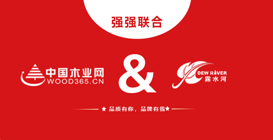 强强联合 BG大游集团和中国木业网达成战略合作